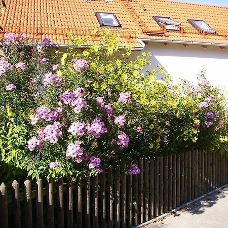 Wiflinger Graben Einfamilienhaus Villa Wörth Kültér fotó