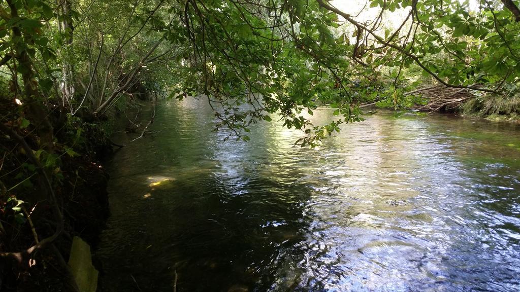 Wiflinger Graben Einfamilienhaus Villa Wörth Kültér fotó