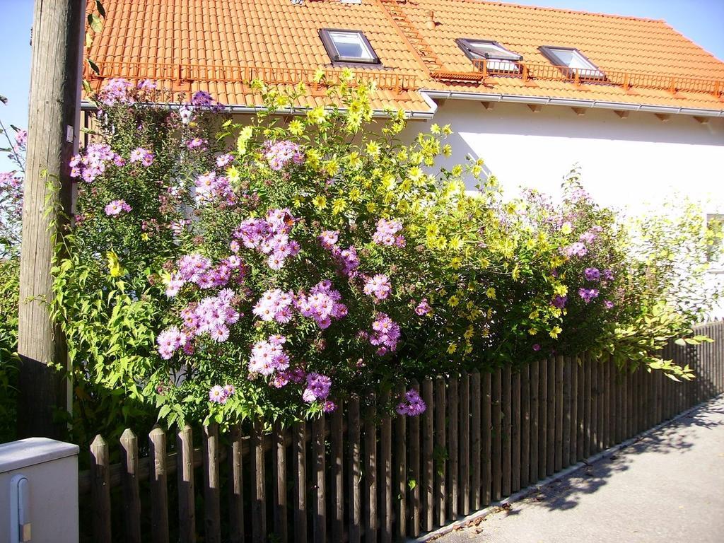 Wiflinger Graben Einfamilienhaus Villa Wörth Kültér fotó